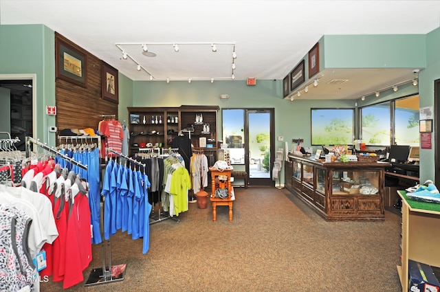 25042 S Hollygreen Dr, Sun Lakes, AZ 85248 - misc room featuring rail lighting and carpet