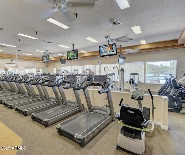 25042 S Hollygreen Dr, Sun Lakes, AZ 85248 - exercise room featuring visible vents, carpet, ceiling fan, and a healthy amount of sunlight