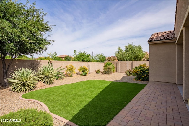 view of yard featuring a patio area