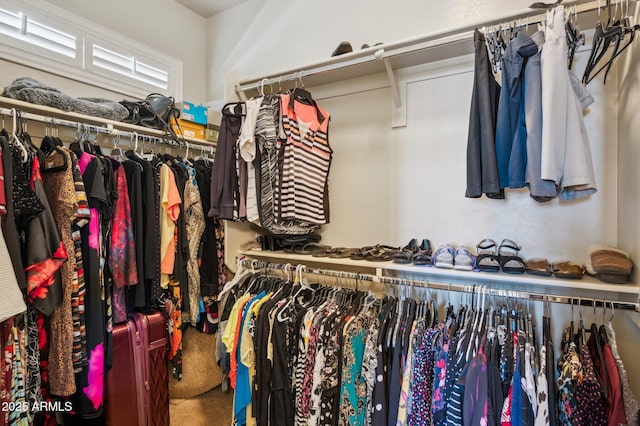 spacious closet featuring carpet