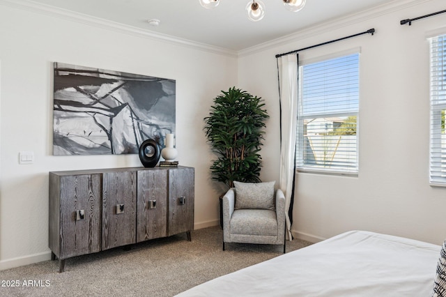 1584 S 241st Ave, Buckeye, AZ 85326 - bedroom featuring crown molding and carpet flooring