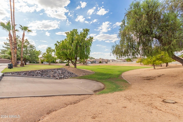 view of community with a lawn