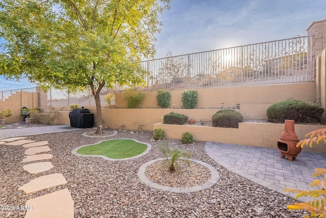 view of yard featuring a patio