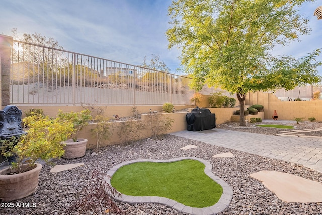 view of yard featuring a patio