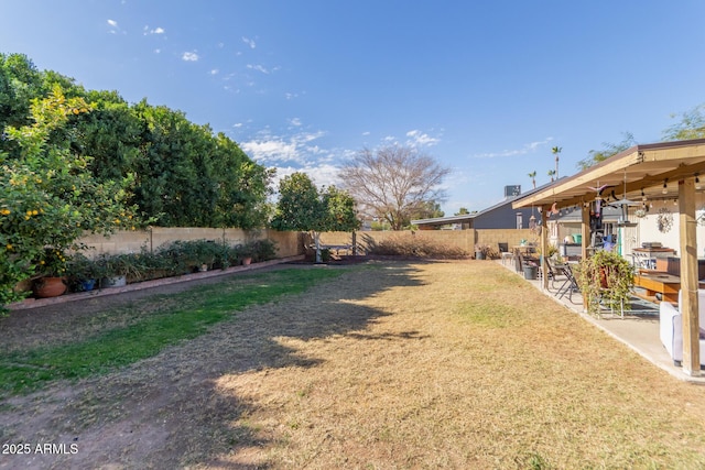 view of yard featuring a patio area