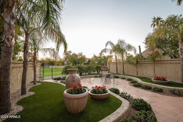 view of yard with a patio