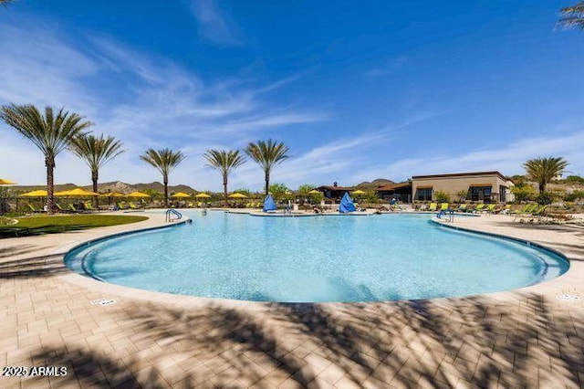 view of swimming pool with a patio