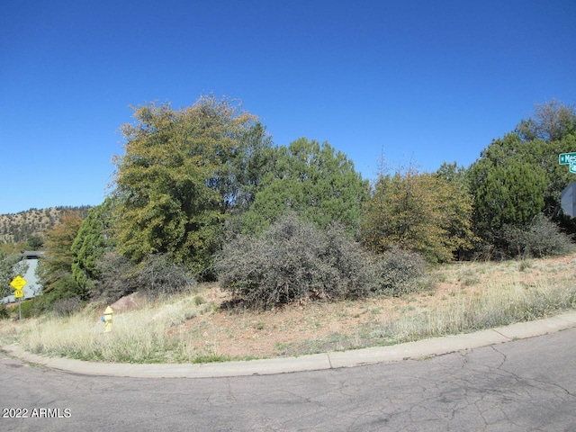 404 S Canpar Way Unit 76, Payson AZ, 85541 land for sale