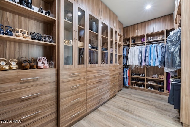 spacious closet with light hardwood / wood-style flooring