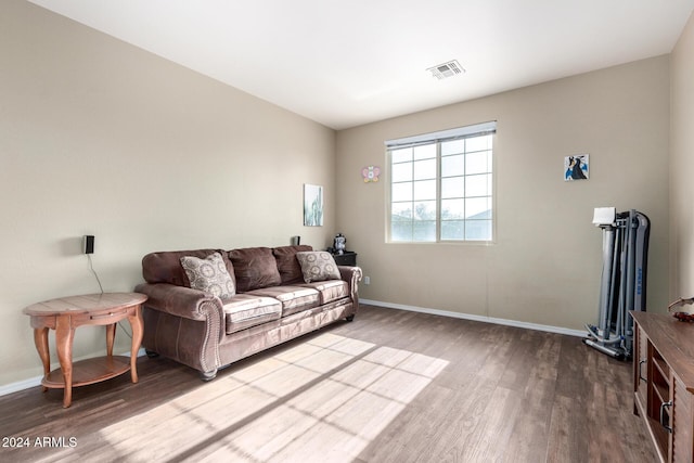 living room featuring hardwood / wood-style floors