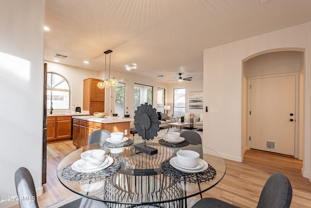 dining area featuring sink, ceiling fan with notable chandelier, and light hardwood / wood-style floors