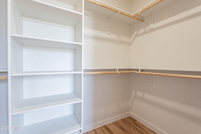 walk in closet with hardwood / wood-style floors