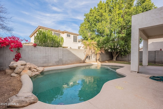 view of pool with a patio