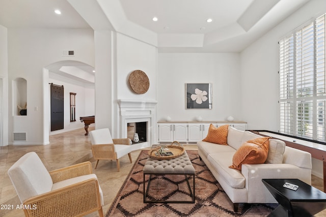 living room with a high ceiling, a healthy amount of sunlight, and a raised ceiling