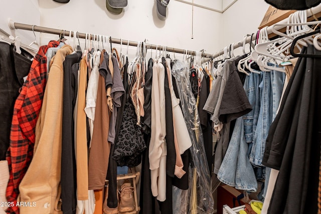 view of walk in closet