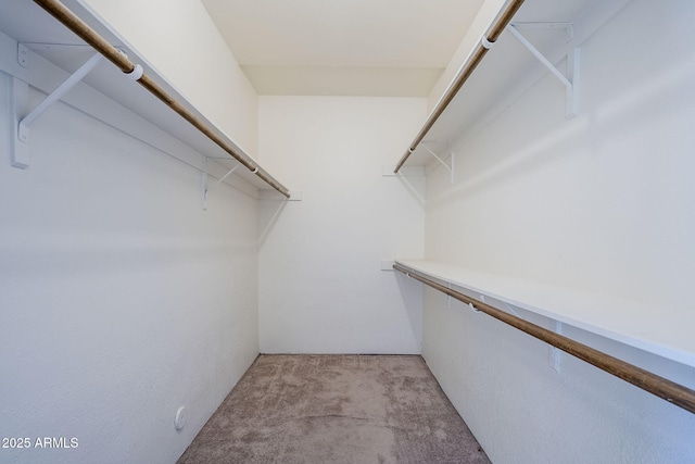 walk in closet featuring light colored carpet