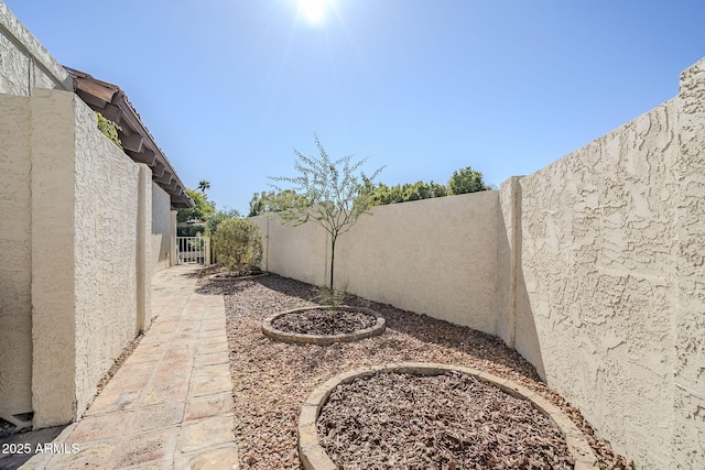 view of yard with a patio