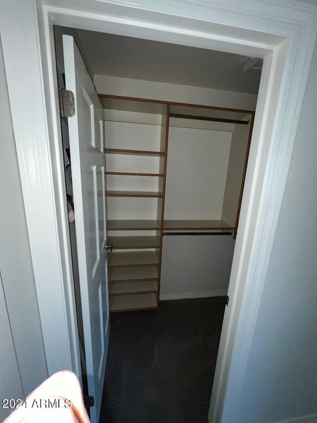 walk in closet with carpet flooring