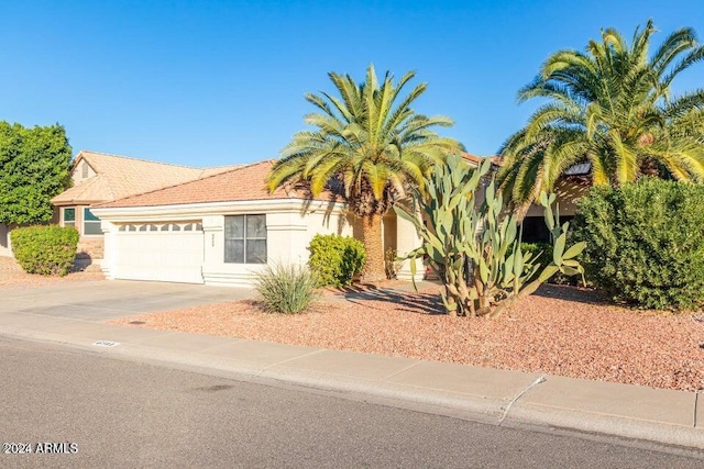 view of property hidden behind natural elements with a garage