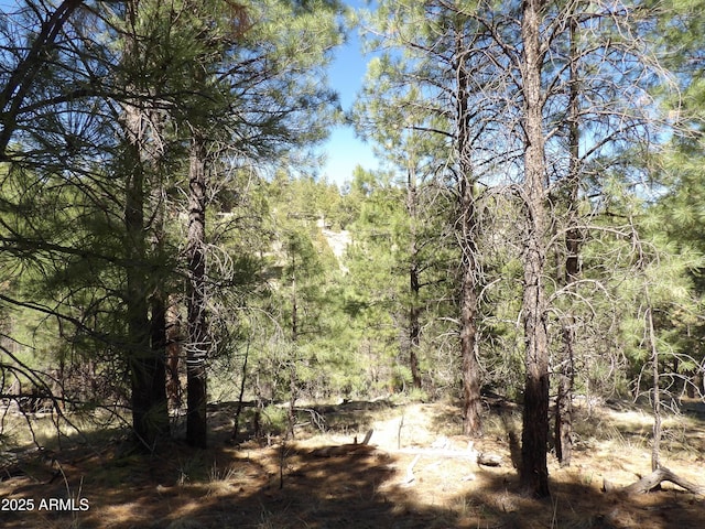 1601 Moqui Dr Unit 77, Happy Jack, AZ 86024