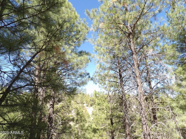 1601 Moqui Dr Unit 77, Happy Jack, AZ 86024