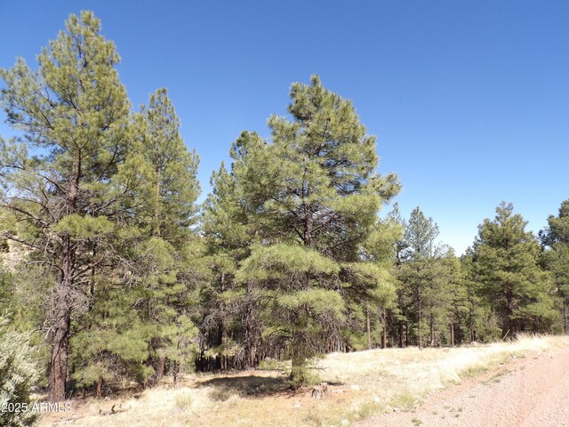 1601 Moqui Dr Unit 77, Happy Jack, AZ 86024
