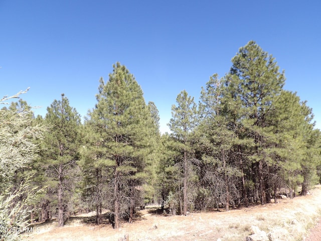 1601 Moqui Dr Unit 77, Happy Jack, AZ 86024