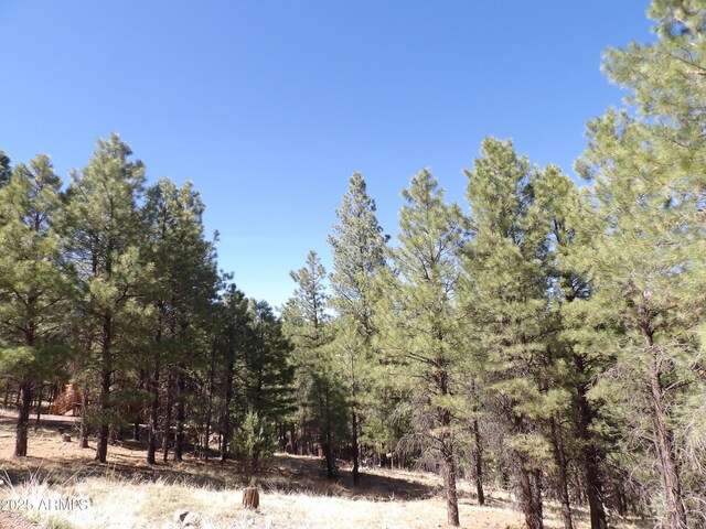 1601 Moqui Dr Unit 77, Happy Jack, AZ 86024