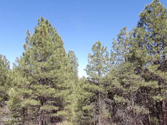 1601 Moqui Dr Unit 77, Happy Jack, AZ 86024