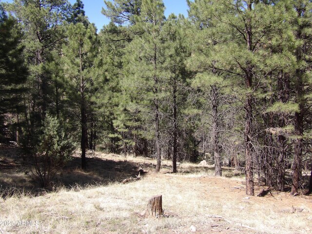 1601 Moqui Dr Unit 77, Happy Jack, AZ 86024