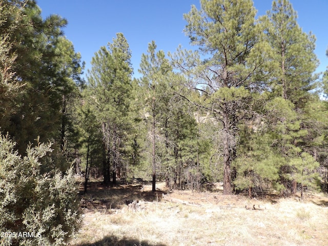 1601 Moqui Dr Unit 77, Happy Jack, AZ 86024