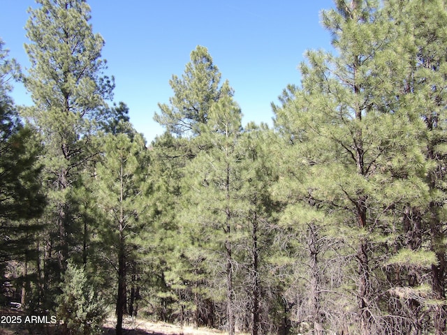 1601 Moqui Dr Unit 77, Happy Jack, AZ 86024
