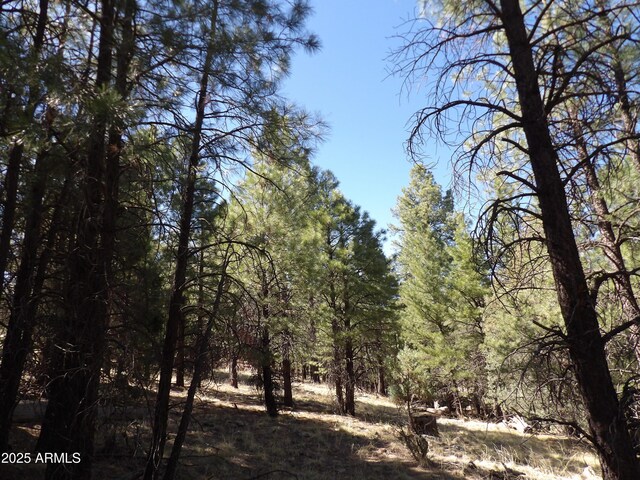 1601 Moqui Dr Unit 77, Happy Jack, AZ 86024