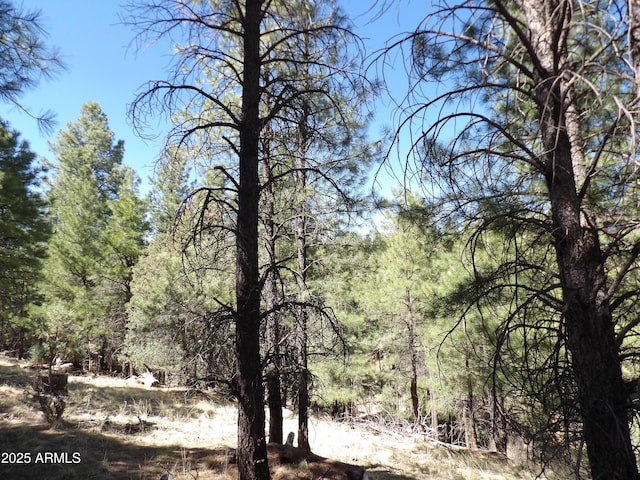 1601 Moqui Dr Unit 77, Happy Jack, AZ 86024