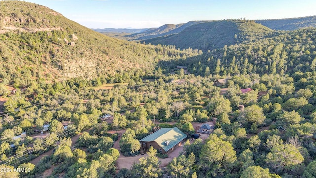 bird's eye view featuring a mountain view