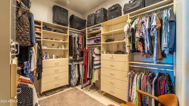 spacious closet with light carpet