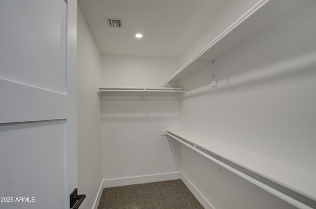 walk in closet with carpet