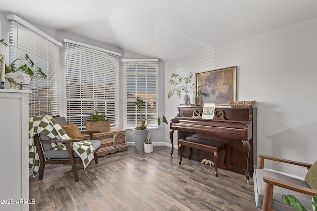 living area featuring lofted ceiling and dark wood-type flooring