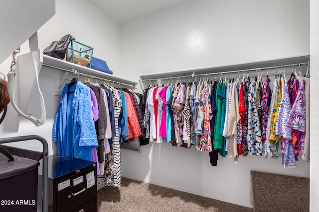 spacious closet with carpet