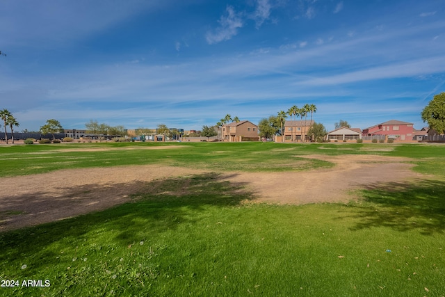 view of community with a lawn