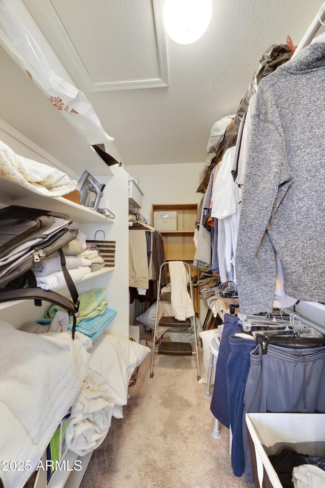 walk in closet with light carpet and attic access