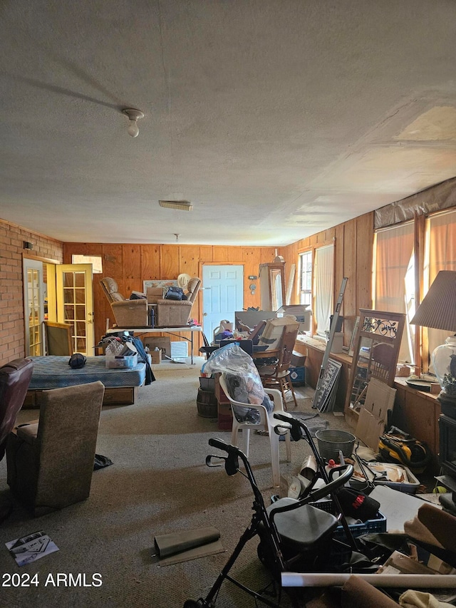 miscellaneous room with wood walls, a textured ceiling, and a healthy amount of sunlight