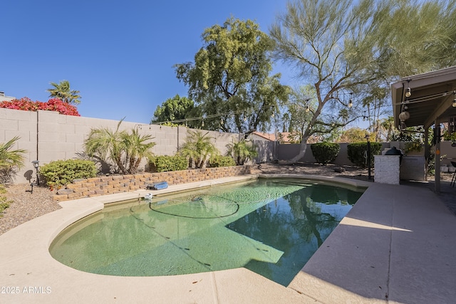 view of pool with a patio area, a fenced backyard, and a fenced in pool