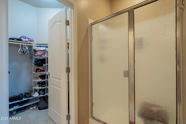 bathroom with a walk in closet and a stall shower