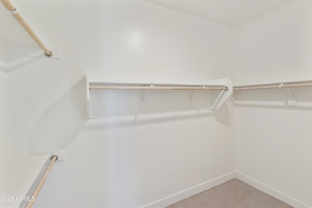 walk in closet featuring light carpet