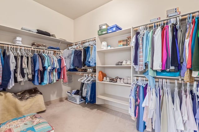 walk in closet with light carpet