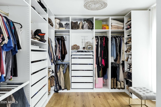 spacious closet featuring wood finished floors