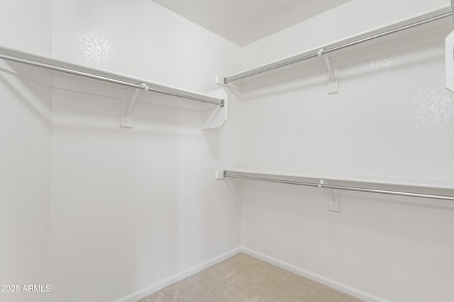 19010 N 35th Way, Phoenix, AZ 85050 - spacious closet with carpet floors