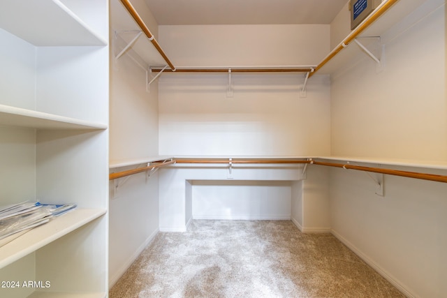 spacious closet featuring light colored carpet