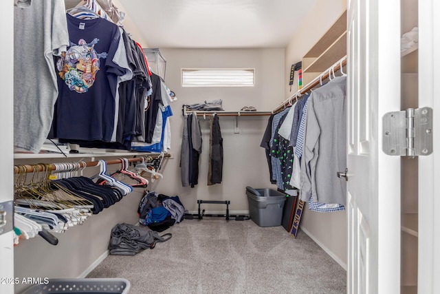 spacious closet featuring light colored carpet